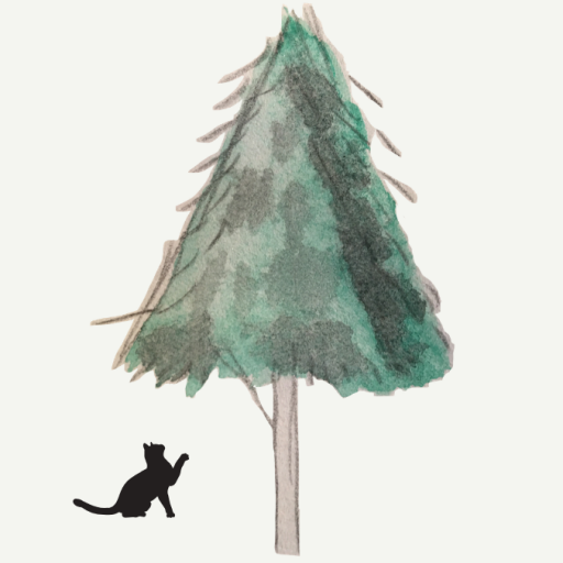 今天的挪威有什麼之來去京都住一年