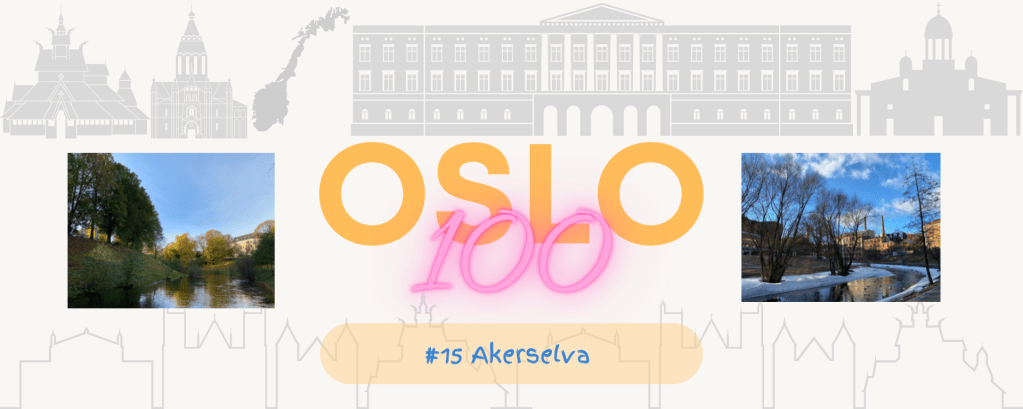 Oslo x 100 #15&nbsp;Akerselva