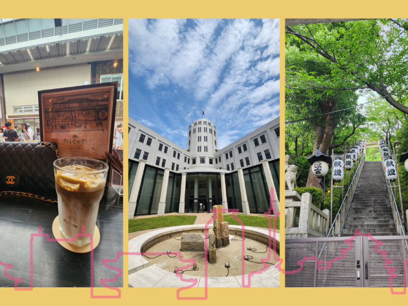 Kyoto Project Day&nbsp;209