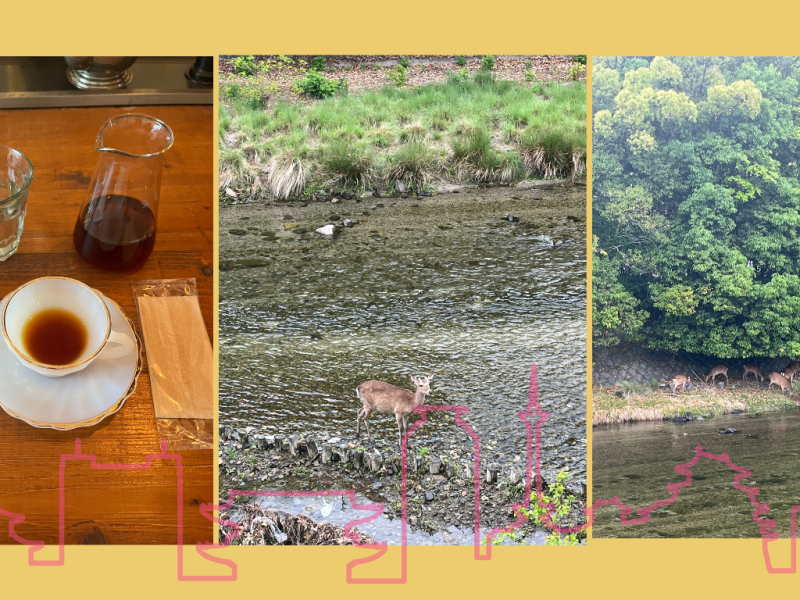Kyoto Project Day&nbsp;211