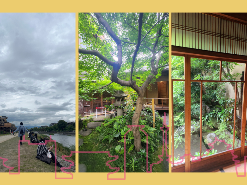 Kyoto Project Day&nbsp;217