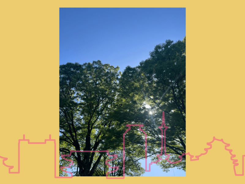 Kyoto Project Day&nbsp;221